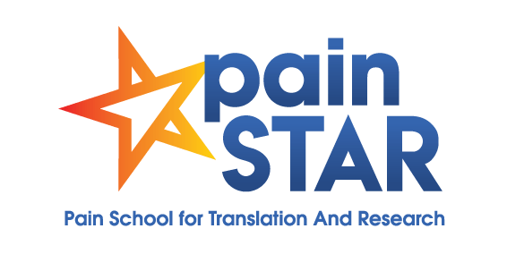 painSTAR logo