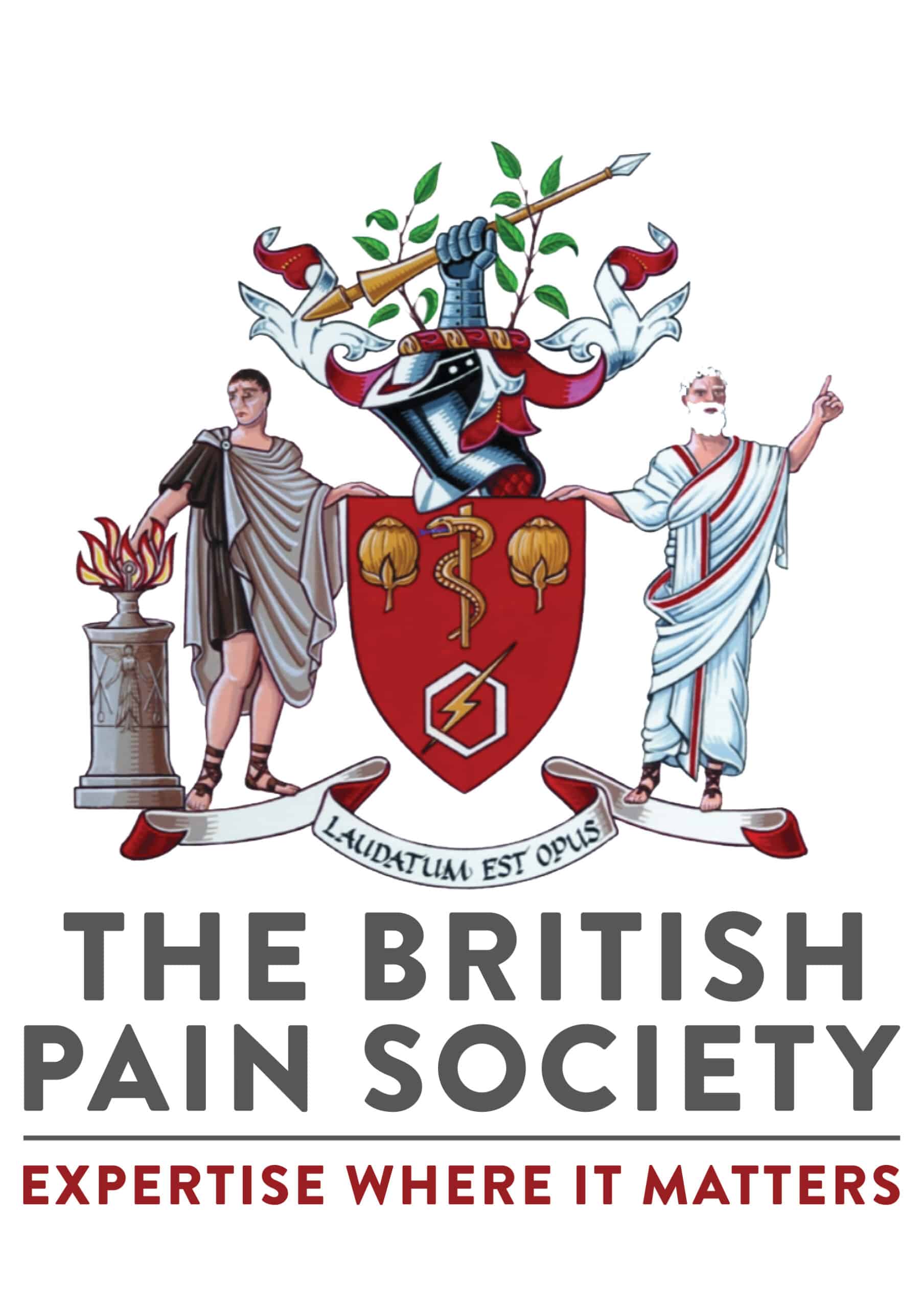 The British Pain Society