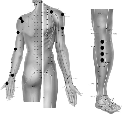 Acupuncture points used in Research