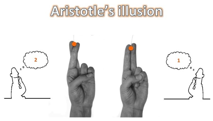 Aristotles-illusion