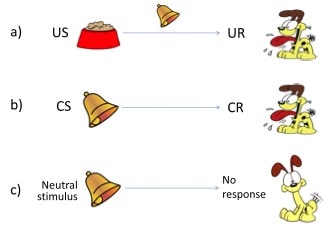 Conditioned-response