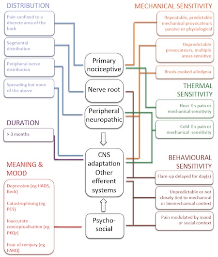General guide to contributing mechanisms contributing mechanisms to pain flow chart