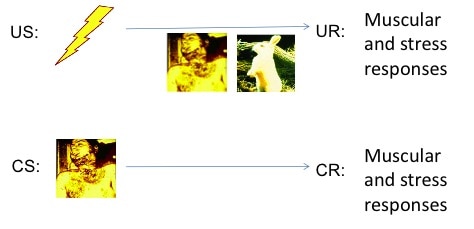 The-Conditioning-Process