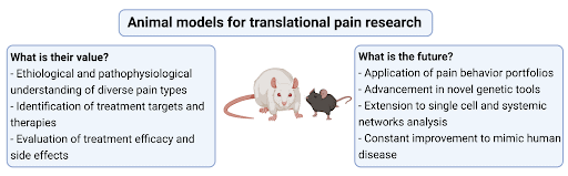 Figure 1: Animal models in pain research. Created with BioRender.com