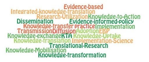 Figure 1. Multiple terms used to refer to the translation of knowledge into practice