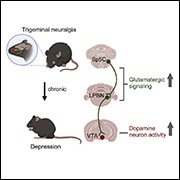 Depression-Pain-Featured