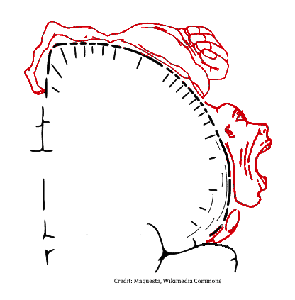 phantom-feature-image