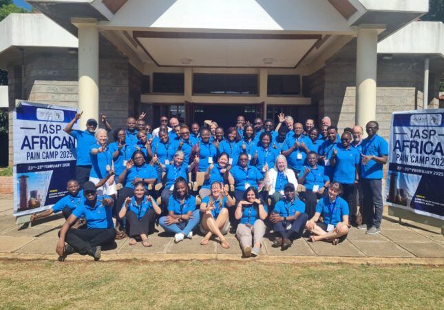 IASP African Pain Camp participants, February 2025, Nairobi, Kenya