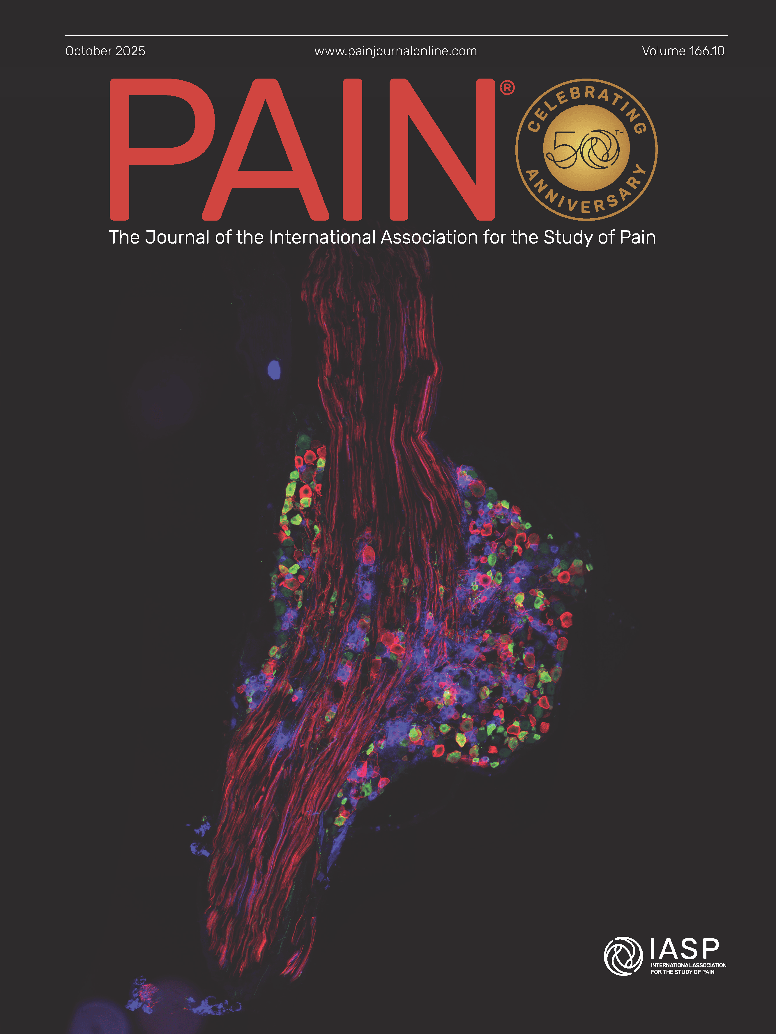 PAINv166n10-cover_Page_1