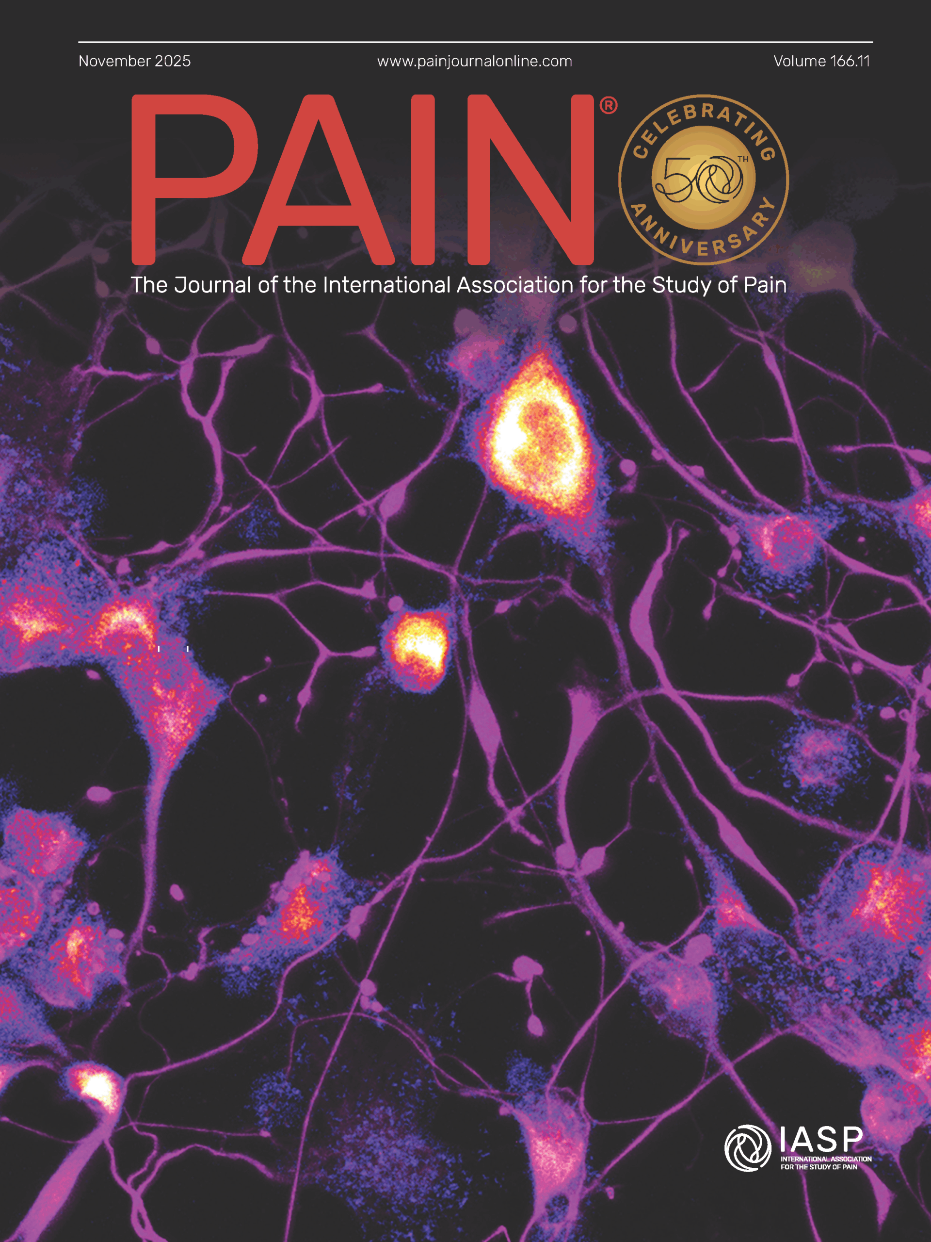 PAINv166n11-cover_Page_1