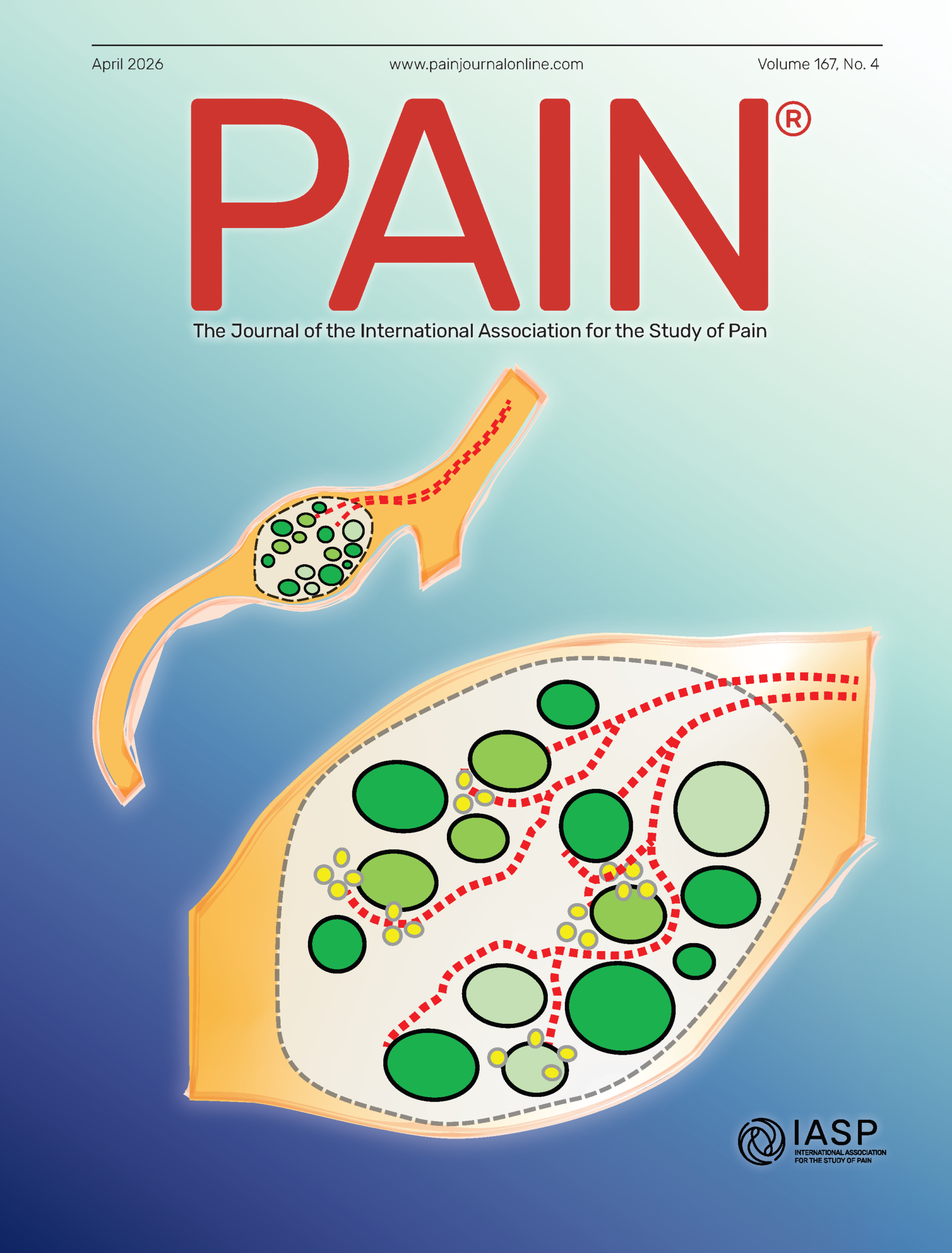 PAINv167n4-cover