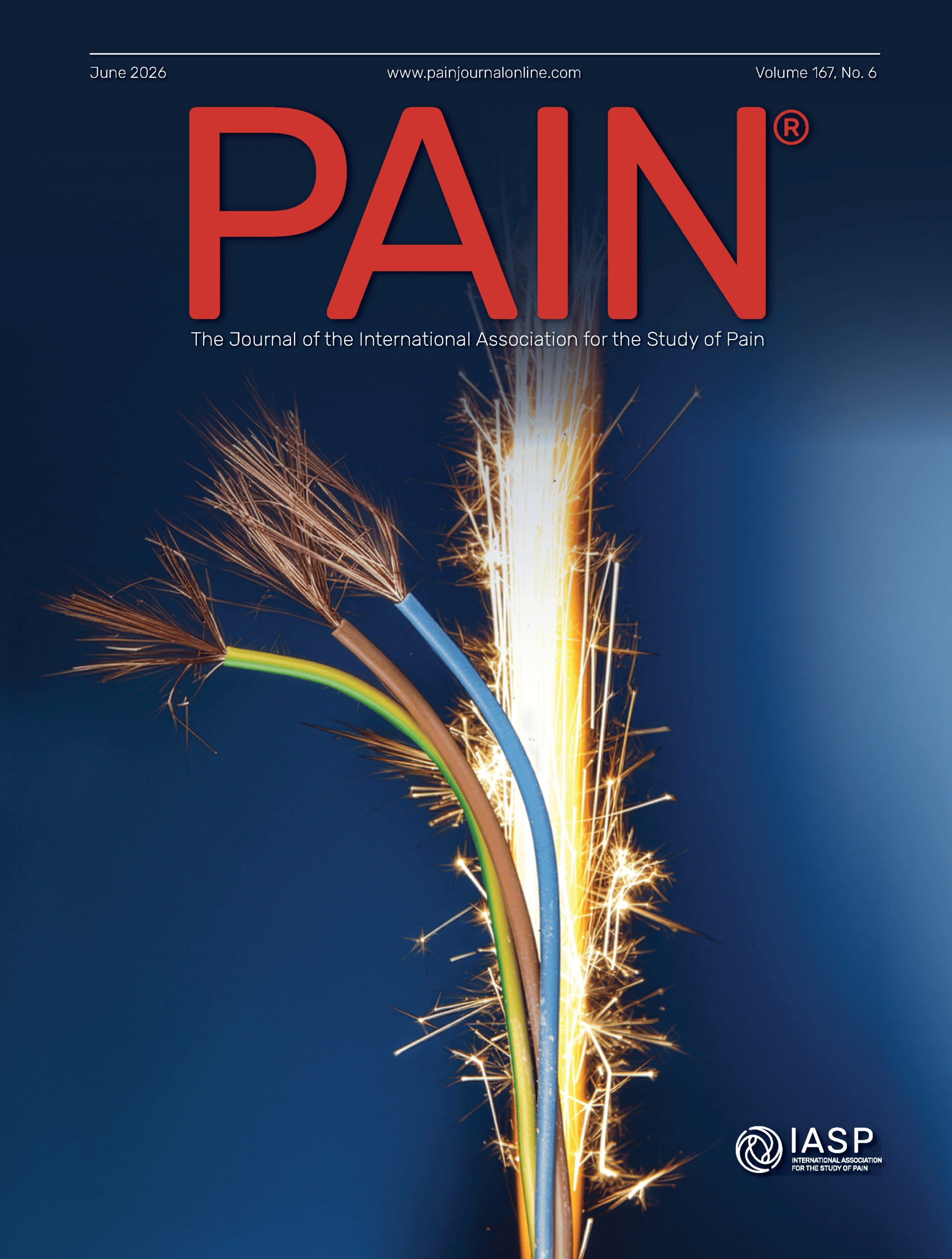 PAINv167n6-cover
