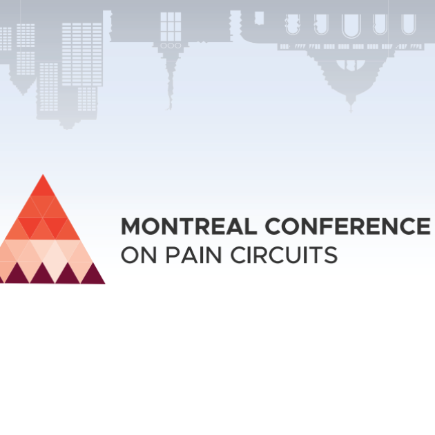 International Association for the Study of Pain IASP